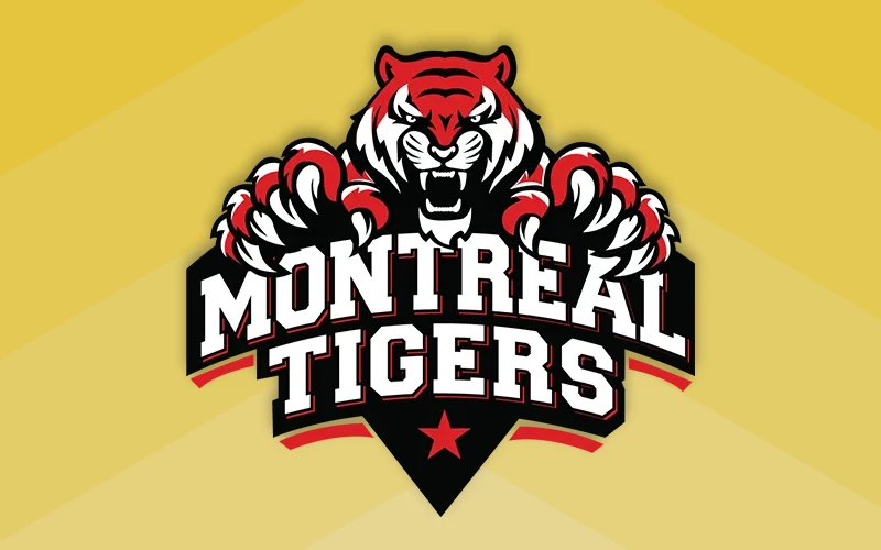 Montreal Tigers is one of the partners of the Babu88 platform.